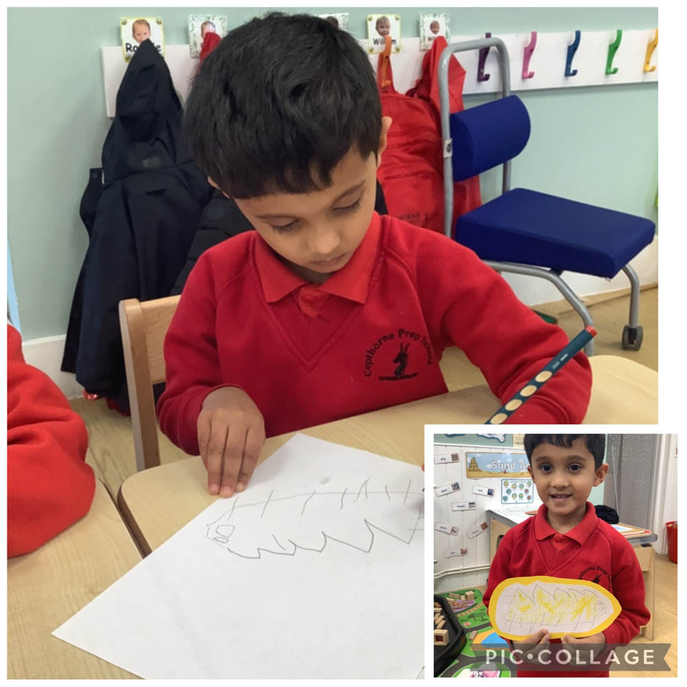 Bumblebees Learn Through 'Sharing a Shell' - Copthorne Prep